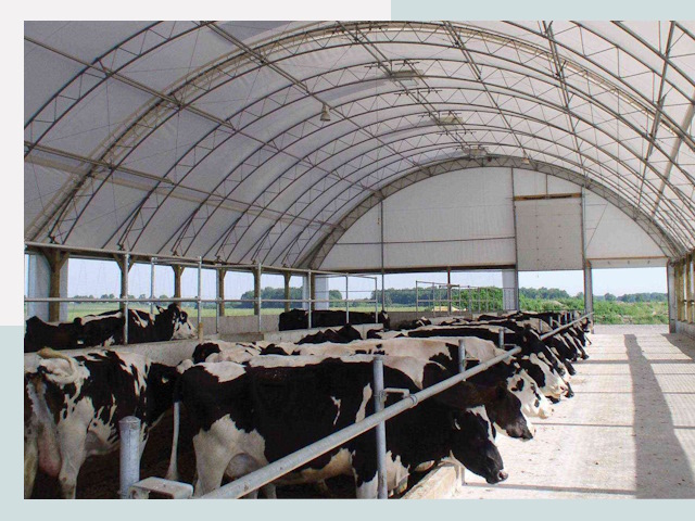 Тентовые коровники в Стерлитамаке